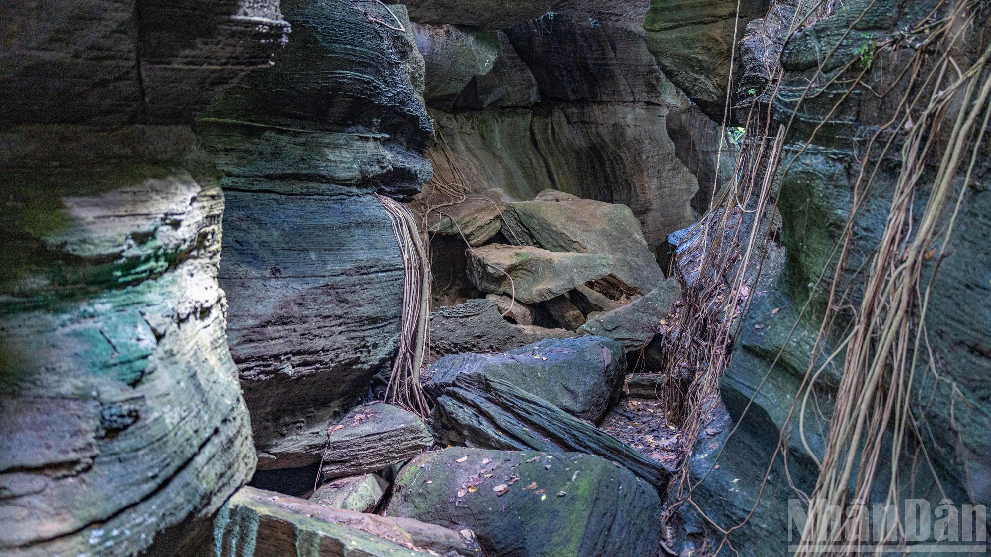 El sistema de lianas que cubre la superficie de las rocas realza aún más el misterio de la cueva. El sistema de lianas que cubre la superficie de las rocas realza aún más el misterio de la cueva.