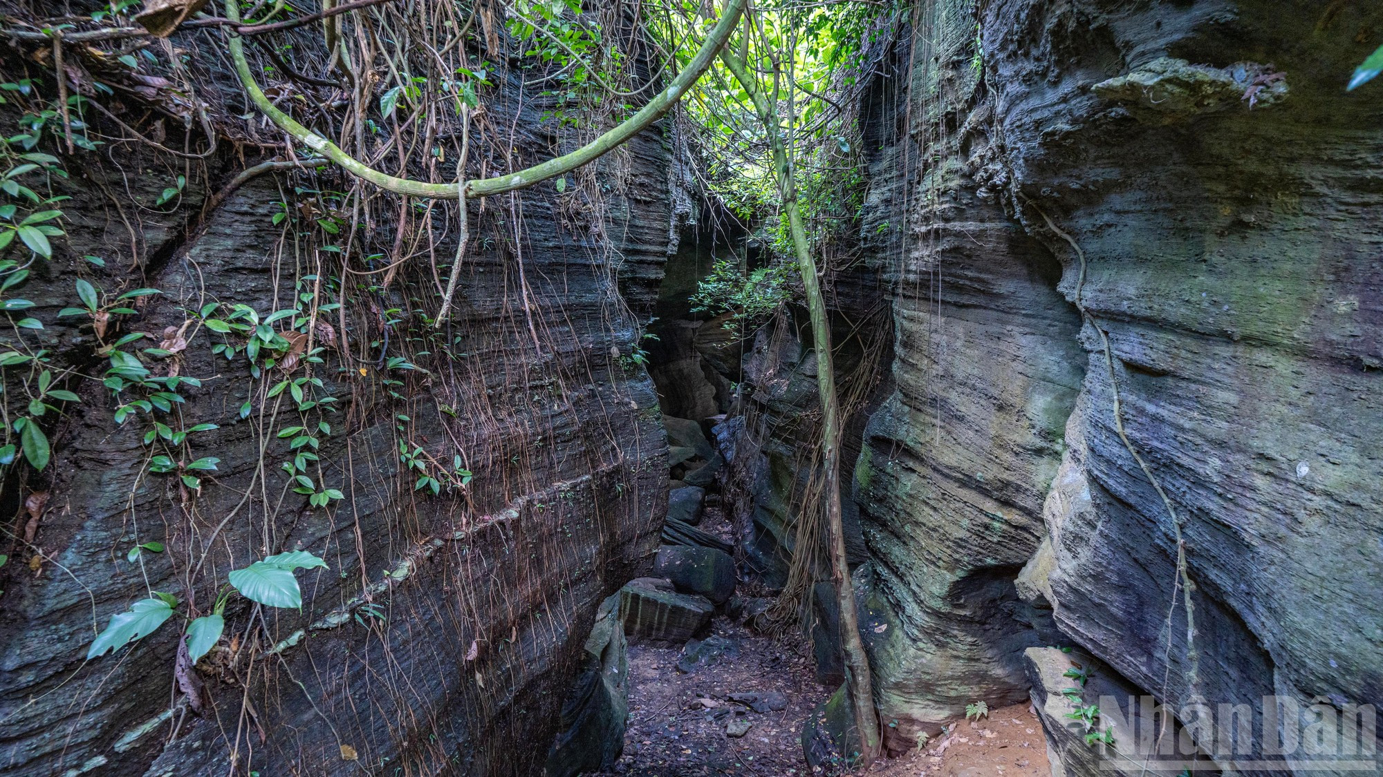 Aunque en la cueva no hay manantiales ni arroyos, las piedras muestran señales de erosión y pulido, revelando vetas onduladas y delicadamente esculpidas por la mano de la creación. Aunque en la cueva no hay manantiales ni arroyos, las piedras muestran señales de erosión y pulido, revelando vetas onduladas y delicadamente esculpidas por la mano de la creación.