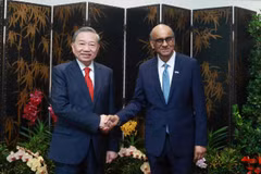Otorgar una mayor relevancia a coordinación estratégica Vietnam-Singapur a favor de la paz y el desarrollo regionales