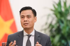 El viceministro vietnamita de Relaciones Exteriores Dang Hoang Giang (Foto: Cancillería de Vietnam)