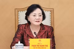 La viceprimera ministra de Vietnam, Pham Thi Thanh Tra, preside la reunión.