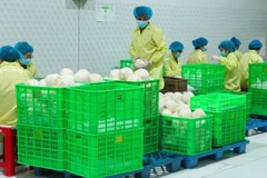 Foto de ilustración. (Fuente: Nhan Dan)