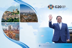 Consolidar la confianza política, reforzar la cooperación entre Vietnam y países de Oriente Medio y África