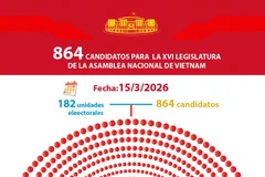 Infografía: 864 candidatos para la Asamblea Nacional de la XVI legislatura