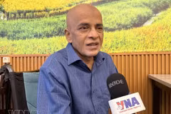Veeramalla Anjaiah, investigador principal del Centro de Estudios del Sudeste Asiático de Indonesia. (Foto: VNA)