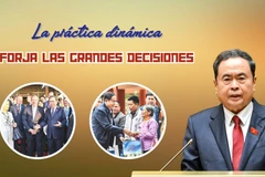 La práctica dinámica forja las grandes decisiones