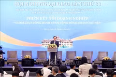 El ministro de Relaciones Exteriores de Vietnam, Le Hoai Trung, interviene en el evento. (Foto: VNA)