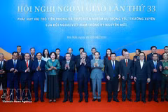 El primer ministro de Vietnam, Le Minh Hung, y delegados en la sesión plenaria de la 33ª Conferencia Diplomática. (Foto: VNA)