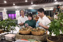 Visitantes prueban productos elaborados con ginseng Ngoc Linh y otras hierbas medicinales. (Foto: VNA)