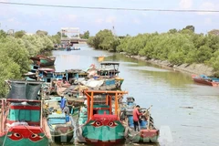 El Comité Popular de la provincia de Dong Thap está implementando el "Proyecto para transformar algunos oficios relativos a la explotación acuática que afectan los recursos marinos y el entorno ecológico" (Foto: VNA)