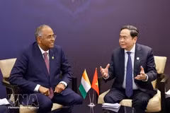 El presidente de la Asamblea Nacional de Vietnam, Tran Thanh Man, sostiene un encuentro con el presidente de la Asamblea Nacional de Costa de Marfil, Patrick Achi. (Foto: VNA)