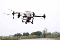 Cooperativa Juvenil Nam Dai Duong, en la comuna de Nghia Hung, provincia de Ninh Binh, utiliza drones para la siembra de arroz. (Foto ilustrativa: VNA)