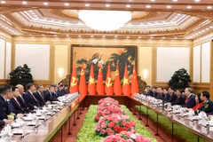 El secretario general del PCCh y presidente de China, Xi Jinping, sostiene conversaciones con el secretario general del Partido Comunista de Vietnam y presidente del país, To Lam (Foto: VNA)