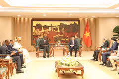 El viceprimer ministro y titular de Defensa de Vietnam, Phan Van Giang, recibe al ministro y secretario general del Gobierno de Mauritania, Moctar Al Housseynou Lam. (Foto: baoacinhphu.vn)