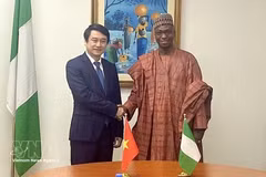 El viceministro de Relaciones Exteriores, Le Anh Tuan, sostiene conversaciones con su homólogo de Nigeria, Dunoma Umar Ahmed. (Foto: VNA)