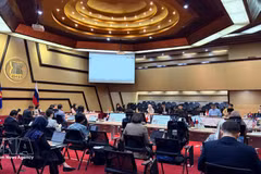 La 24ª reunión del Comité Conjunto de Cooperación Asean–Rusia. (Foto: VNA)