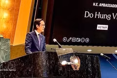 El embajador Do Hung Viet habla en la cita (Foto: VNA)