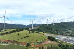La energía limpia es uno de los sectores en los que Vietnam puede priorizar la cooperación con Canadá. (Foto: VNA)