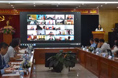 La vicecanciller Le Thi Thu Hang habla en la cita (Foto: VNA)