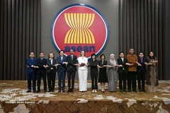 Delegados asisten a la quinta reunión del Comité Conjunto de Cooperación Asean-Reino Unido. (Foto: VNA)