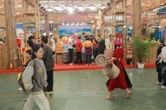 Foto de ilustración. (Fuente: VNA)