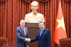 El secretario general del Partido Comunista y presidente de Vietnam, To Lam, recibe al embajador de Dinamarca en Vietnam, Nicolai Prytz. (Foto: VNA)