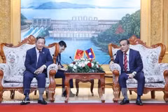 El embajador de Vietnam en Laos, Nguyen Minh Tam, sostiene una reunión de trabajo con Phouthanouphet Xaysombath, miembro del Comité Central del Partido Popular Revolucionario de Laos, secretario del Comité partidista y presidente del Consejo Popular de la provincia de Vientián. (Foto: VNA)
