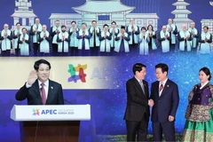 Reafirma Vietnam su papel como miembro activo y responsable por la paz, la estabilidad, el diálogo y la cooperación