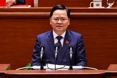 Nguyen Anh Tuan, subjefe de la Comisión de Políticas y Estrategias del Comité Central del Partido. (Foto: VNA)