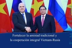 Fortalecer la amistad tradicional y la cooperación integral Vietnam-Rusia