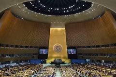 Vista general de una sesión de la Asamblea General de las Naciones Unidas en Nueva York, EE. UU. (Foto: Xinhua/VNA)
