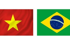 Relaciones de asociación estratégica Vietnam-Brasil