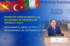 Promover enérgicamente las relaciones de Vietnam con Turquía e Italia, reafirmar el papel activo y responsable de vietnam en la UIP