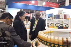 Compradores internacionales conocen los productos vietnamitas en VIS 2025. (Foto: VNA)