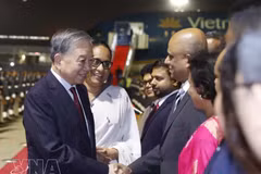 El secretario general del PCV y presidente del Estado, To Lam, la primera ministra Harini Amarasuriya y los delegados en el Aeropuerto Internacional de Bandaranaike. (Foto: VNA)