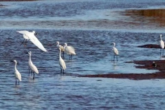 Xuan Thuy, Parque Patrimonio de la Asean
