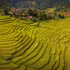 Arrozales en terrazas se suceden junto a una aldea de la comunidad étnica Thai en Chieng Sinh. (Foto: VNA)