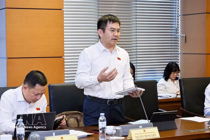 Nguyen Trung Kien, diputado de la ciudad de Dong Nai, interviene en la cita (Foto: VNA)