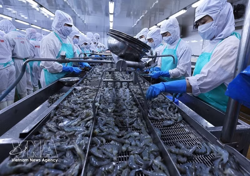 Empresas vietnamitas aprovechan los beneficios brindados por los tratados de libre comercio. (Foto de ilustración: VNA)