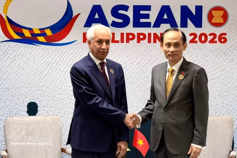 El canciller vietnamita Le Hoai Trung y el ministro de Estado para Asuntos Exteriores de Qatar, Sultan bin Saad bin Sultan Al-Muraikhi (Fuente: VNA)
