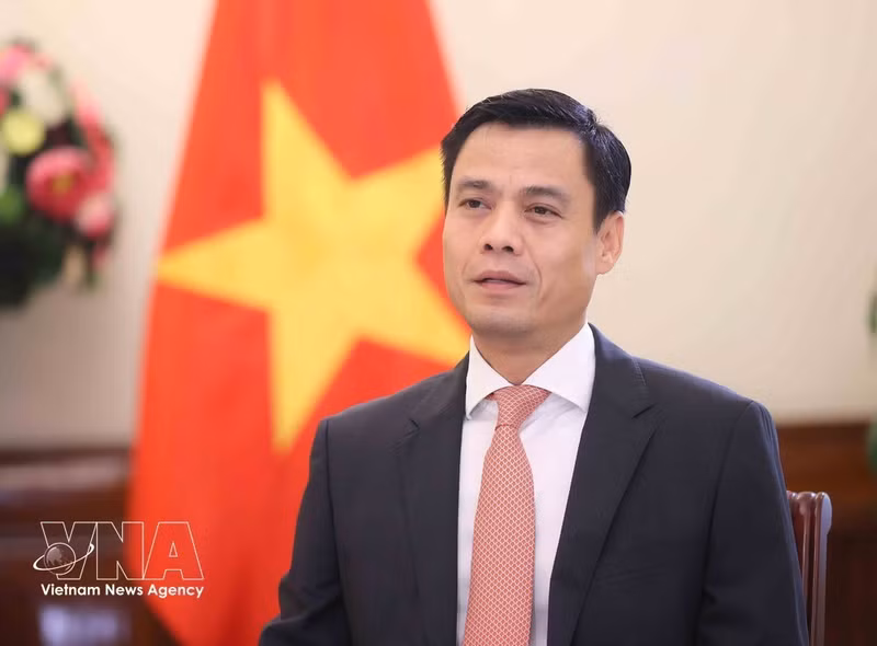 El viceministro de Relaciones Exteriores, Dang Hoang Giang. (Foto: VNA)