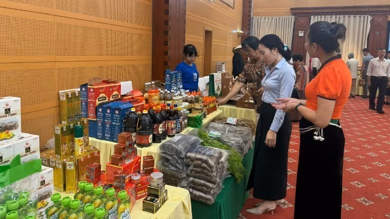 Exposición de productos agrícolas.