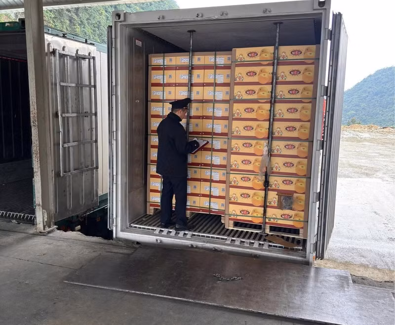 Inspeccionan mercancías en el puesto fronterizo de Tan Thanh, en la provincia deLang Son. (Foto: Nhan Dan)