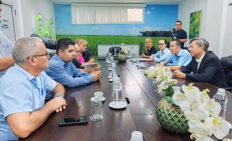 Vista de la ceremonia de entrega del primer lote de arroz producido por el Grupo Thai Binh en Cuba. (Foto: Embajada de Vietnam en Cuba)