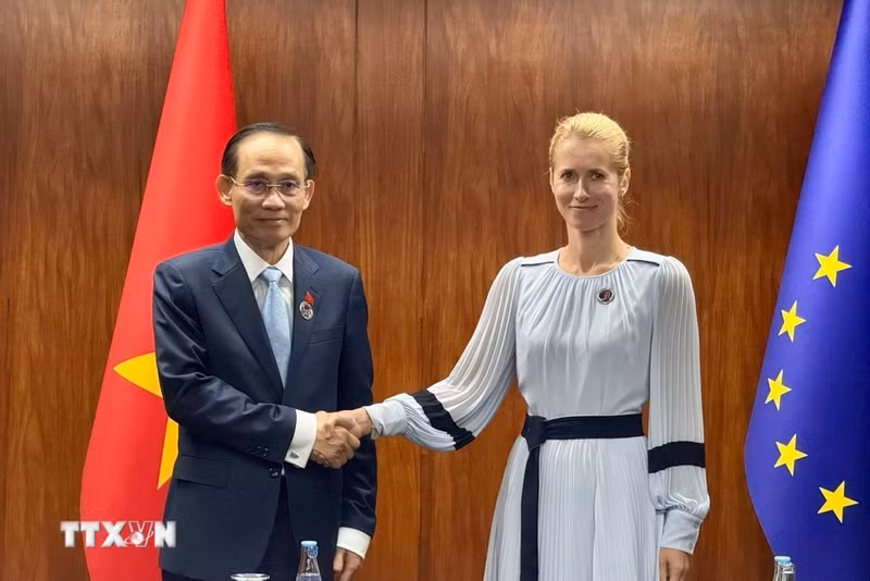 El miembro del Buró Político del Comité Central del Partido Comunista y ministro de Relaciones Exteriores de Vietnam, Le Hoai Trung, y la vicepresidenta de la Comisión Europea y alta representante de la Unión Europea para Asuntos Exteriores y Política de Seguridad, Kaja Kallas. (Foto: VNA)