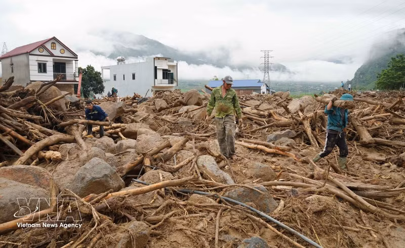 Numerosos restos de madera y leña quedaron acumulados tras el paso de las inundaciones. (Foto: VNA)