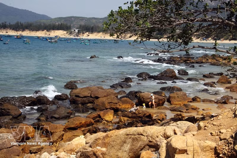 Belleza de Mui Vi Rong atrae a los visitantes. (Fuente: VNA)