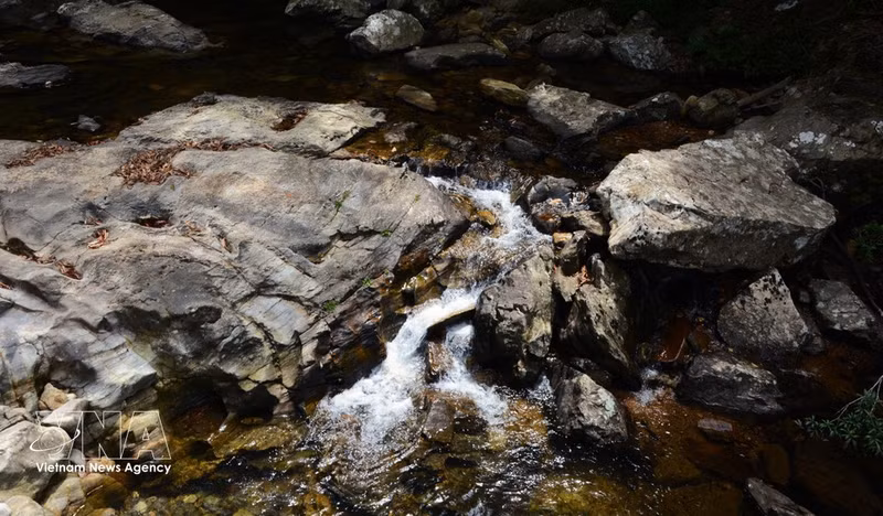 Bach Ma cuenta con un sistema de arroyos de aguas limpias y refrescantes que atraviesan los bosques primarios, ofreciendo un paisaje poético y encantador. (Foto: VNA)