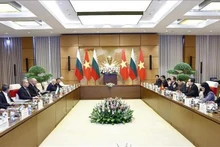 Panorama de la cita. (Foto: VNA)