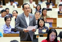 El diputado de la provincia de Hai Duong, Nguyen Ngoc Son. (Foto: VNA)